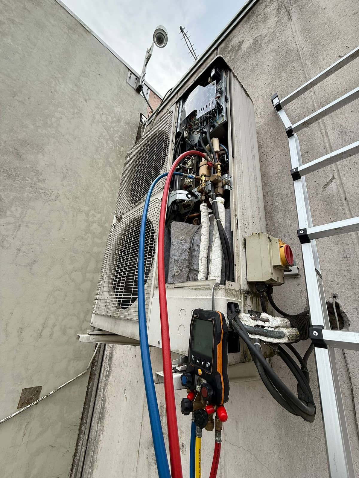 Diagnostic Biotech USA